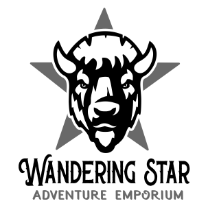 TLJ Overlapping Squares Earrings: Gold - Wandering Star Adventure Emporium